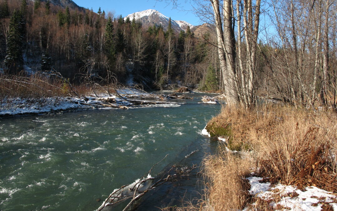 Give Alaska Salmon a Brake!