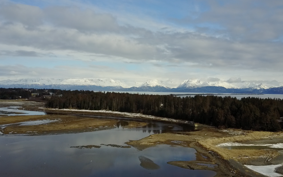 Shape the Future of Kachemak Bay