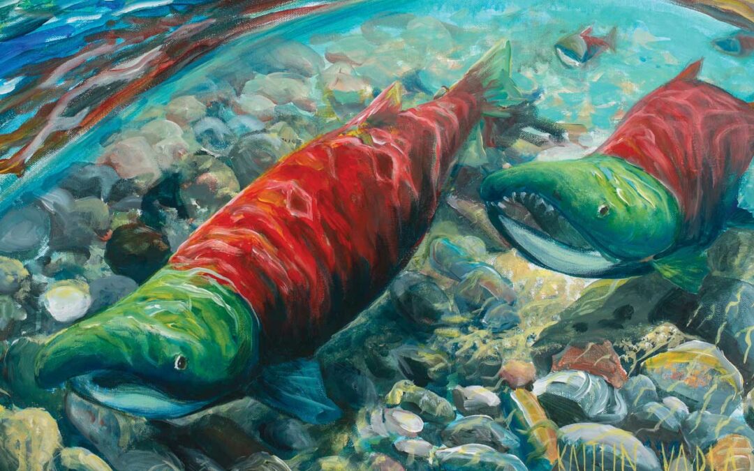 Elevating Local Knowledge to Protect Our Salmon