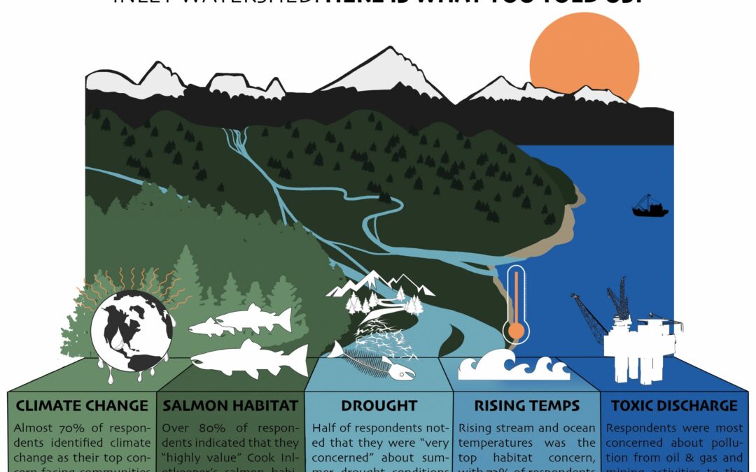 Cook Inlet Watershed Survey