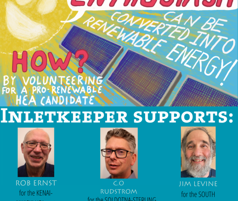 Your Power, Your Vote: Pro-Renewable Candidates for the HEA Board