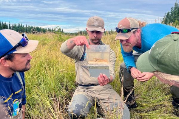 Unexpected Life in Unmapped Waters