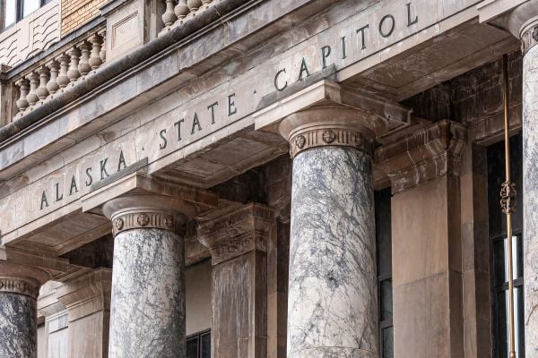 “Government Efficiency”