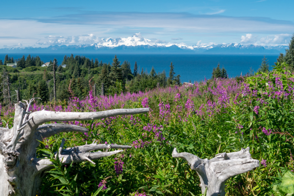 Cook-Inlet-Lake-Clark-National-Park-and-Preserve