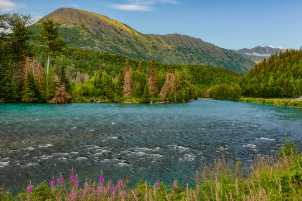 Cook-Inlet-Lake-Clark-National-Park-and-Preserve