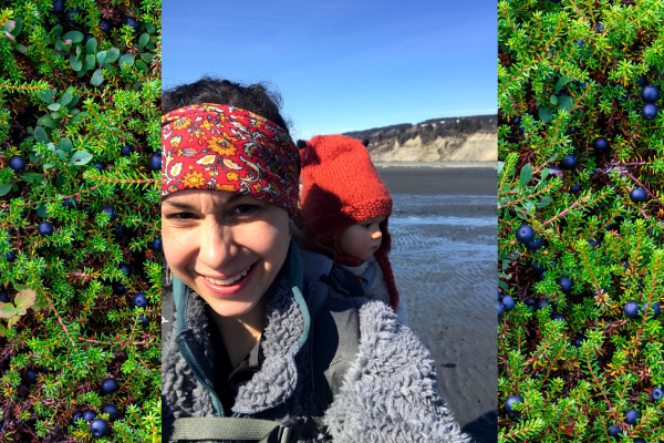 Cook-Inlet-Lake-Clark-National-Park-and-Preserve We Are Hiring
